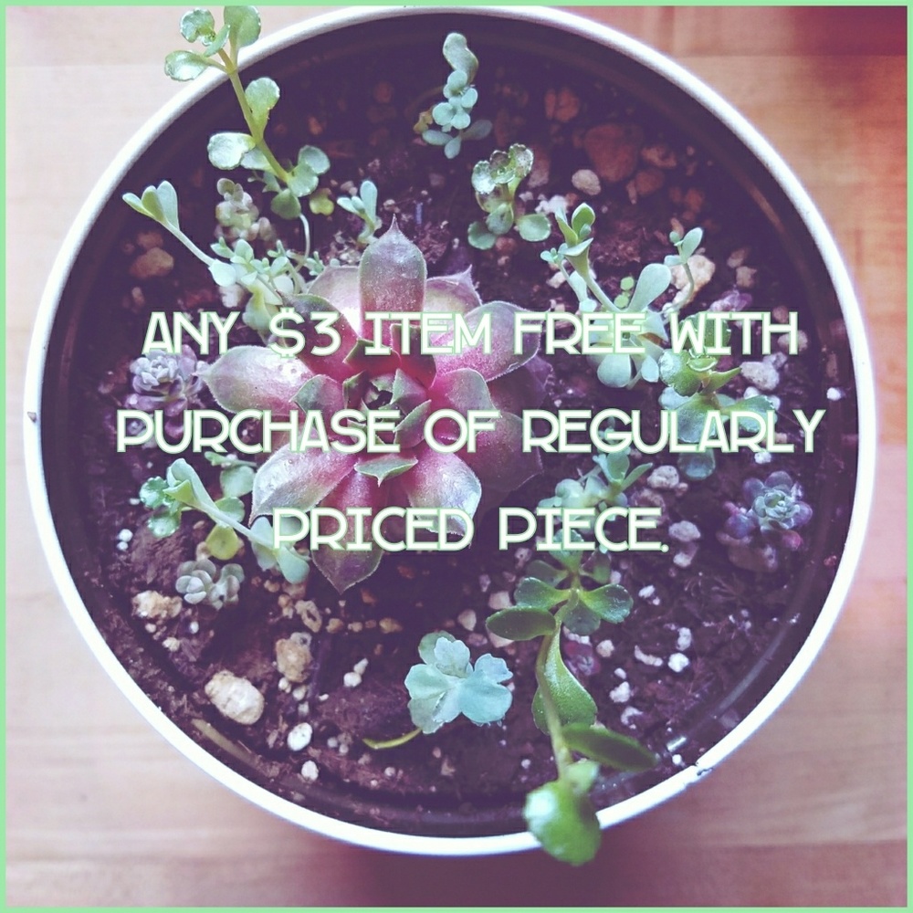 🌵 SPECIAL $3 Item free with purchase!🌵